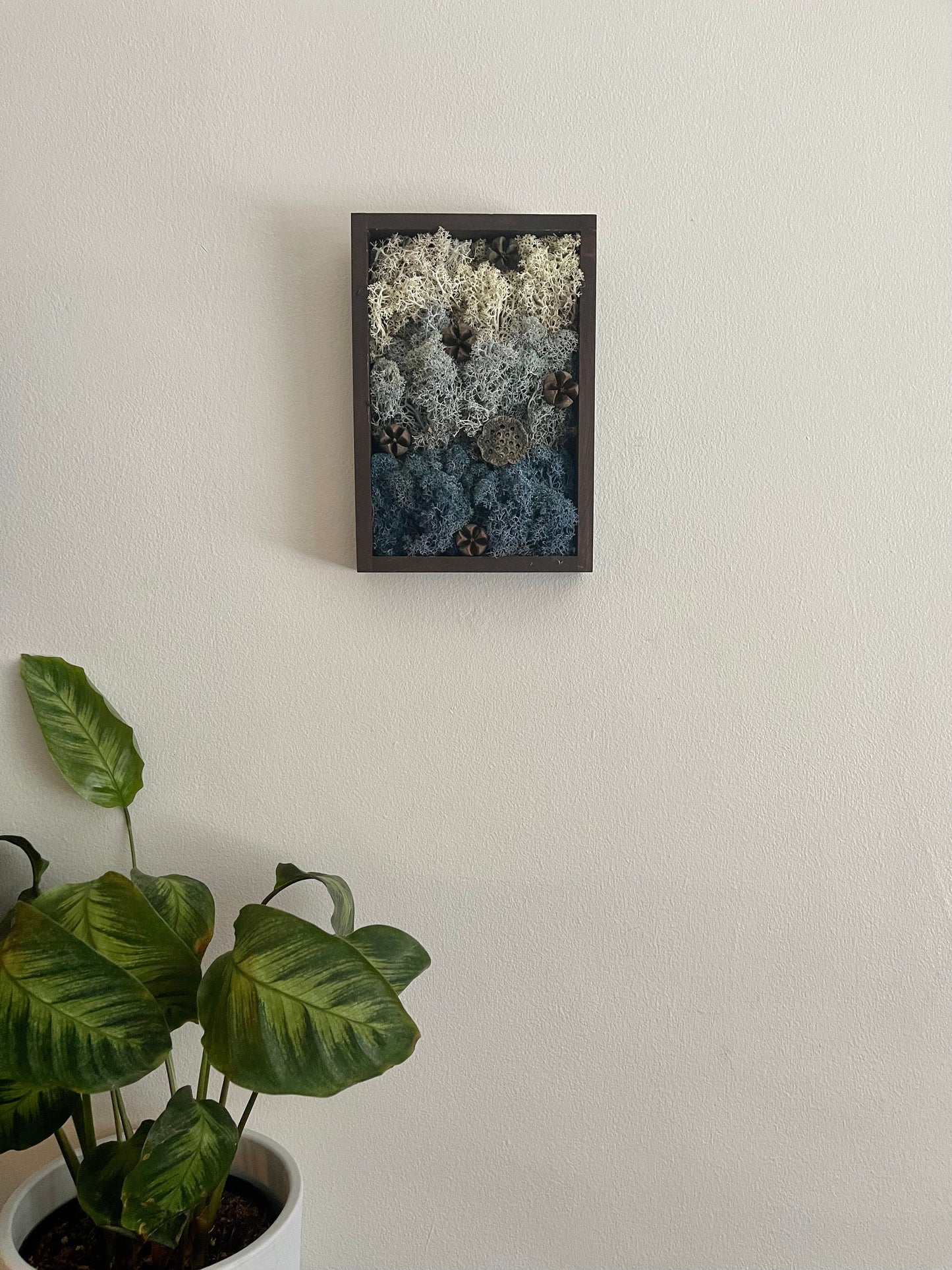 Moss Wall Art | Preserved Moss Art Framed | Rectangle Frame | Water Ice Snow | Mothers Day Gift