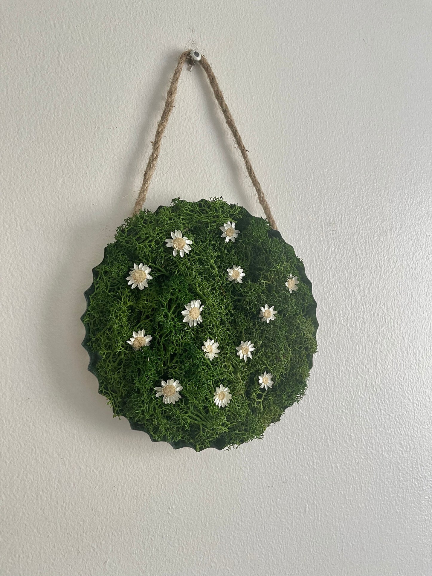 Moss Wall Art | Home Decor | Metal | Green with Preserved Flowers
