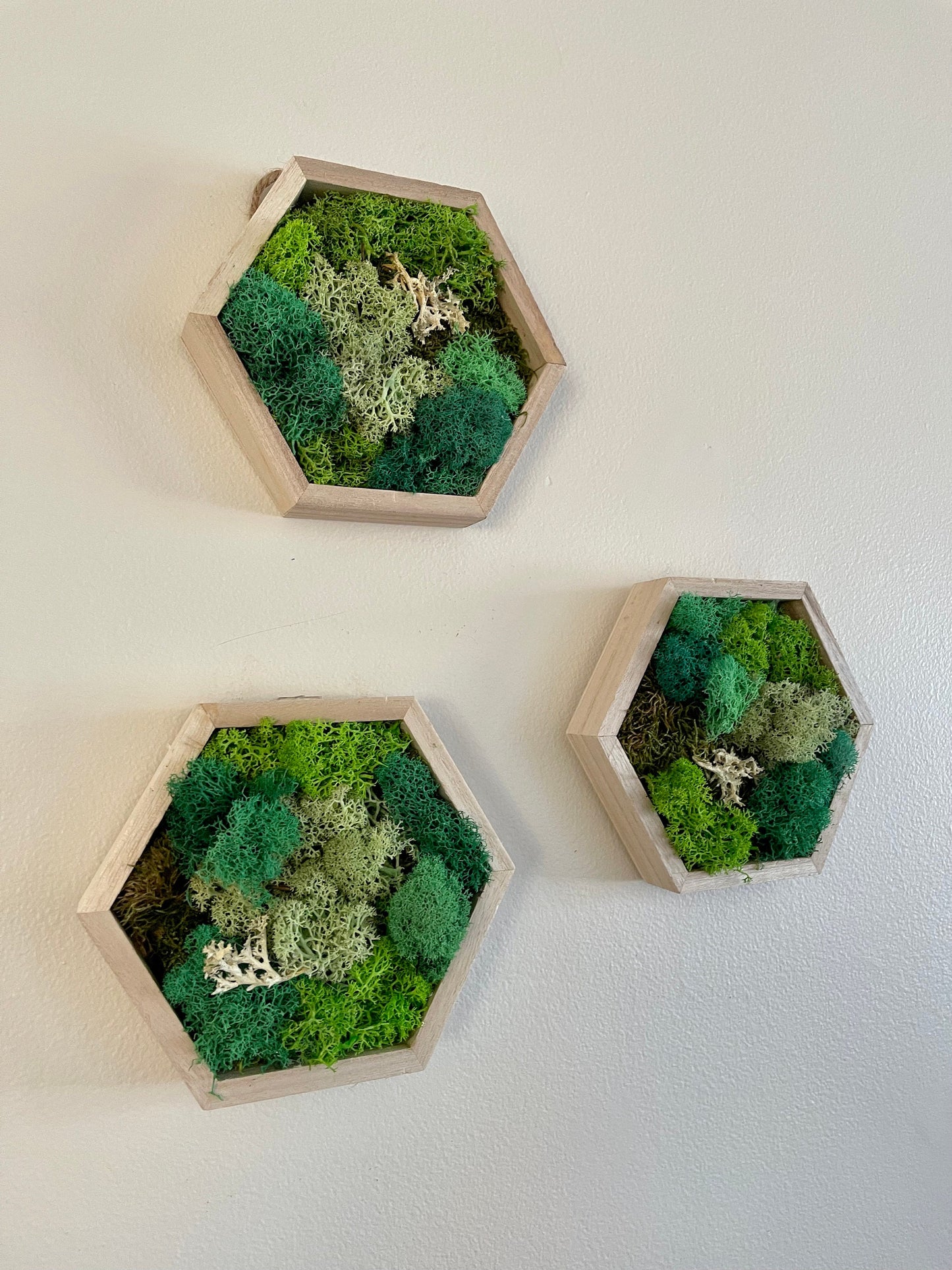 Moss Wall Art | Honeycomb Moss Single to Set of Twelve | Home Decor | Wood Hexagon | Green Grass, Mint, Teal and Beige