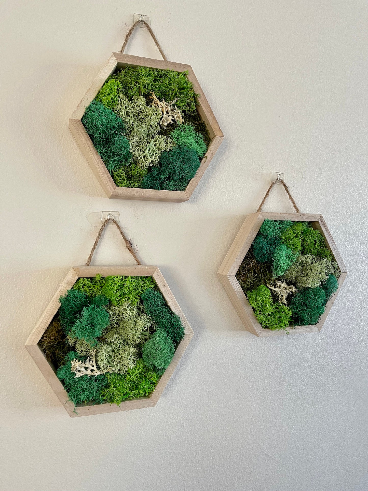 Moss Wall Art | Honeycomb Moss Single to Set of Twelve | Home Decor | Wood Hexagon | Green Grass, Mint, Teal and Beige