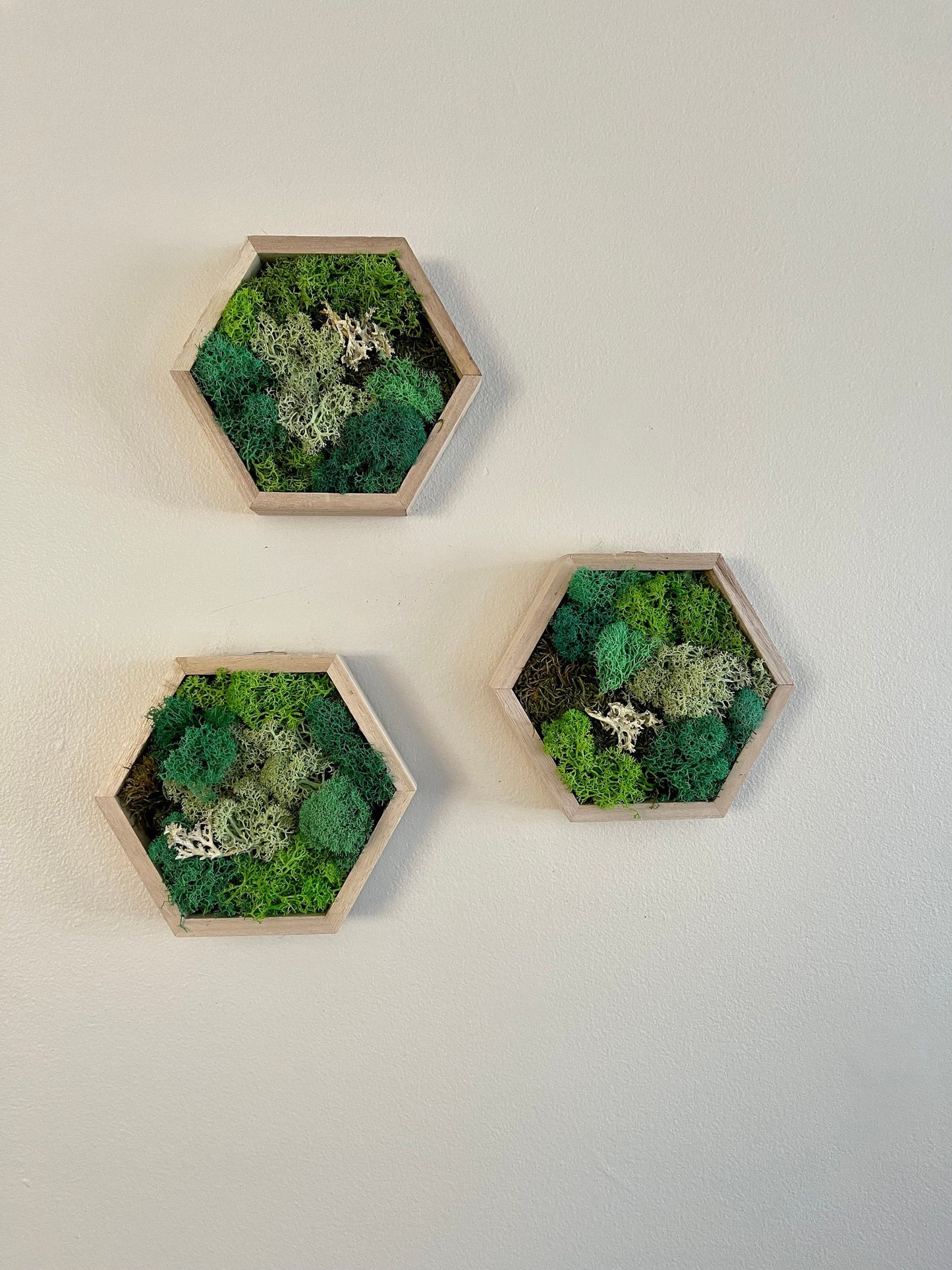 Moss Wall Art | Honeycomb Moss Single to Set of Twelve | Home Decor | Wood Hexagon | Green Grass, Mint, Teal and Beige