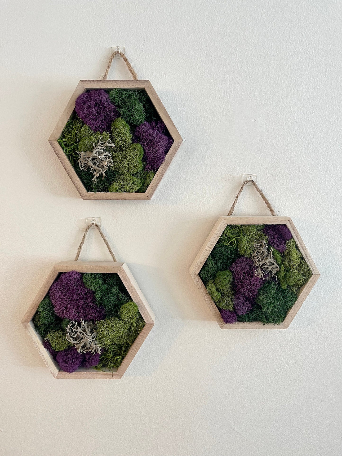 Moss Wall Art | Preserved Moss Wall Decor | Home Decor | Moss Wood Hexagon | Green and Purple