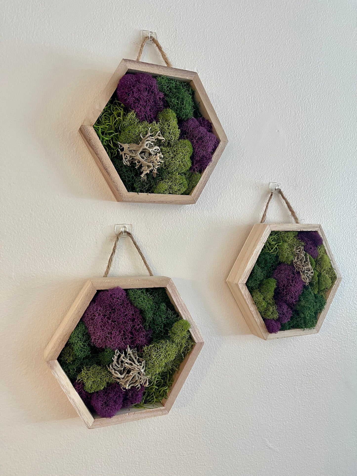 Preserved Moss Wall Art: Green & Purple Hexagon Wood Frame | USA - TARIFF FREE