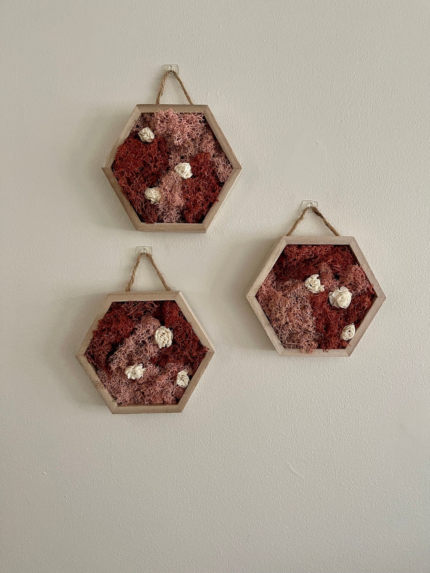 Moss Wall Art | Preserved Moss Wall Decor | Single to Set of Twelve | Wood Hexagon | Pink and White