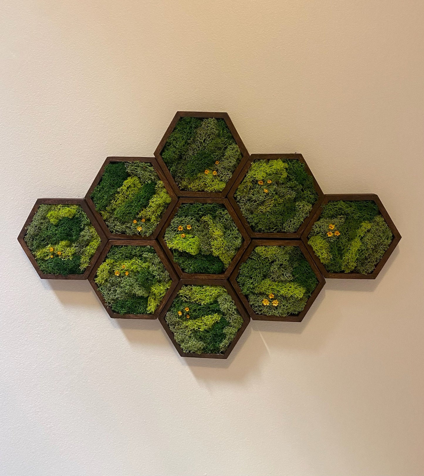 Moss Wall Art | Honeycomb Moss Decor | Single to Set of Twelve | Wood Hexagon | Preserved Moss | Live Moss | Green with Preserved Flowers
