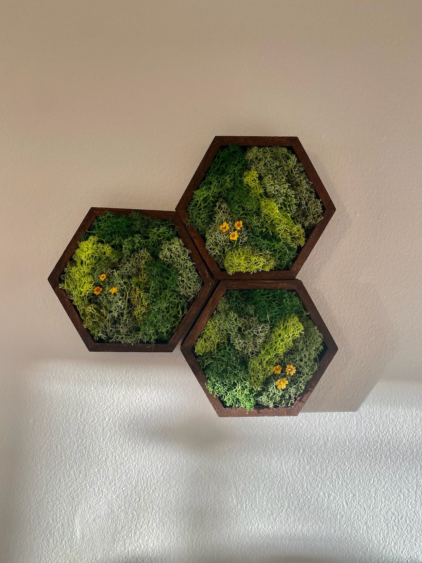 Moss Wall Art | Honeycomb Moss Single to Set of Twelve | Wood Hexagon | Green with Yellow Preserved Flowers