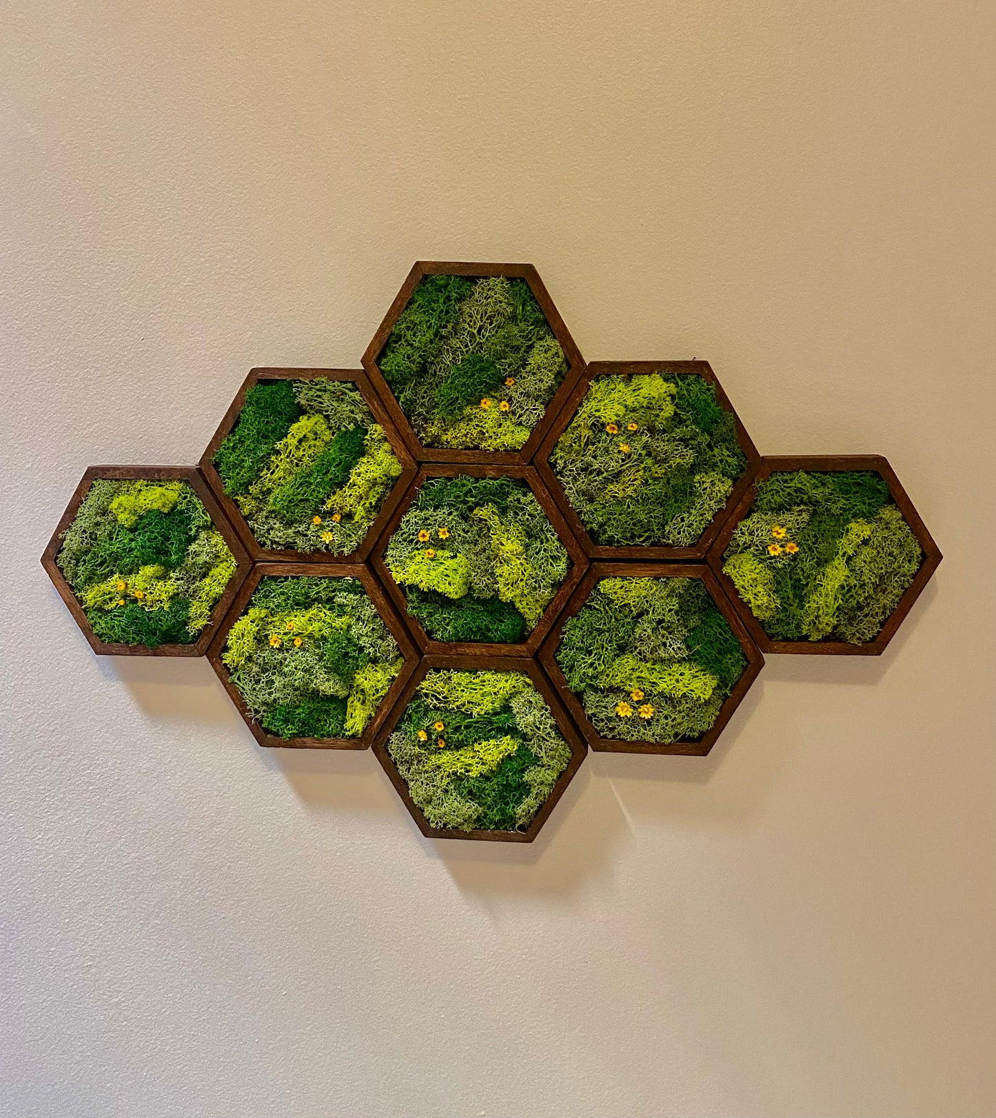 Moss Wall Art | Honeycomb Moss Single to Set of Twelve | Wood Hexagon | Green with Yellow Preserved Flowers
