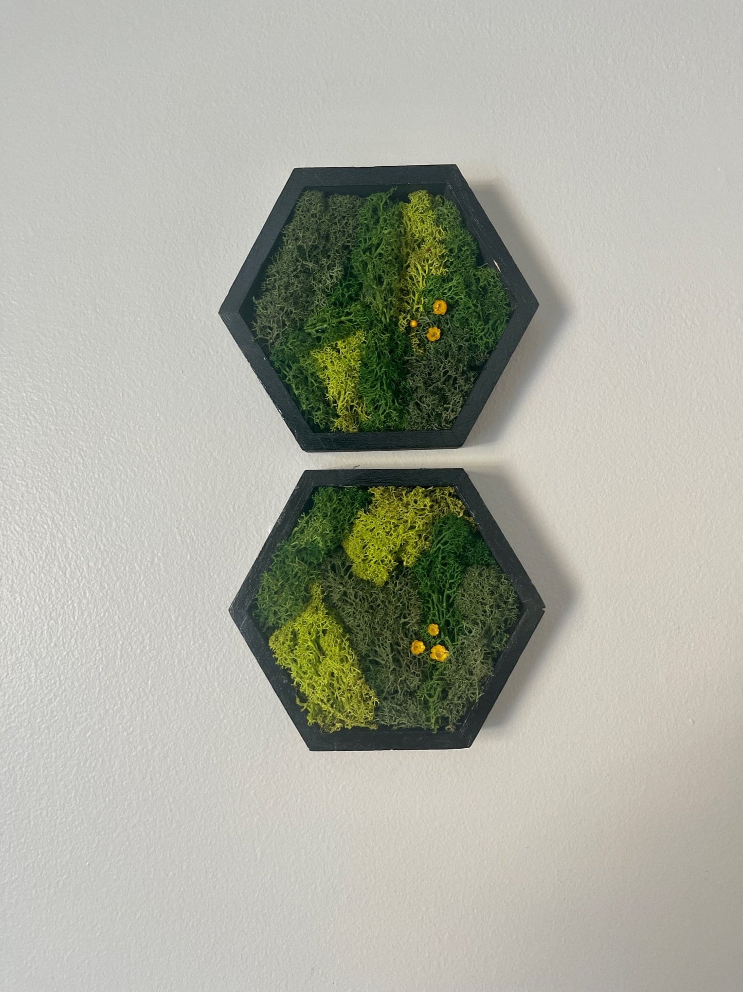 Hexagon Moss Wall Art: Black Frame, Preserved Reindeer Moss & Flowers | USA - TARIFF FREE