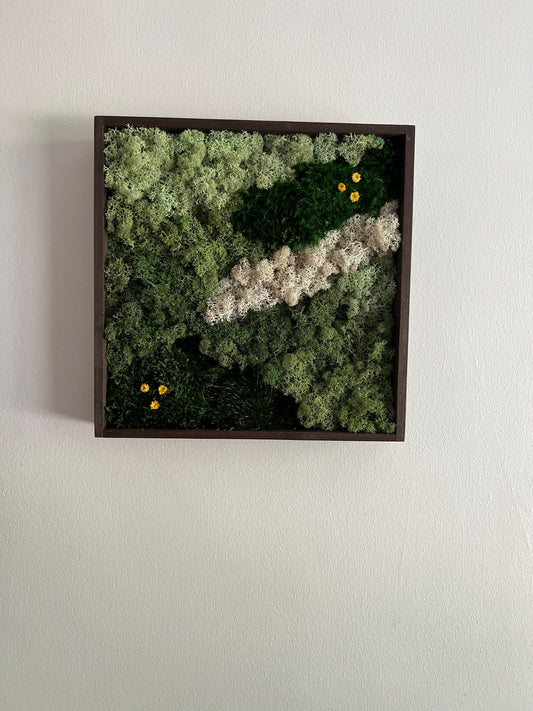 Preserved Moss Wall Art: Square Frame with Reindeer Moss & Flowers | USA - TARIFF FREE