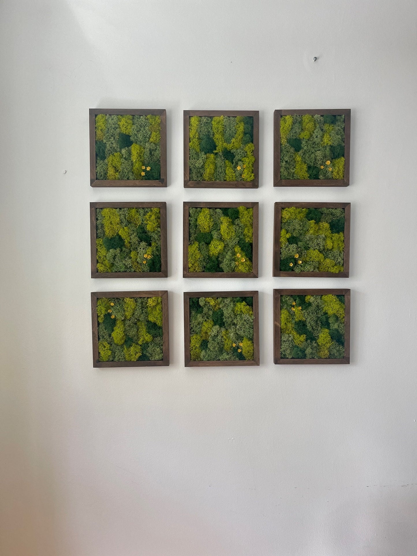 Moss Wall Art | Moss Decor | Single to Set of Nine | Wood Square Frame | Preserved Moss | Live Moss | Green| Father's Day | 8" x 8" Frames