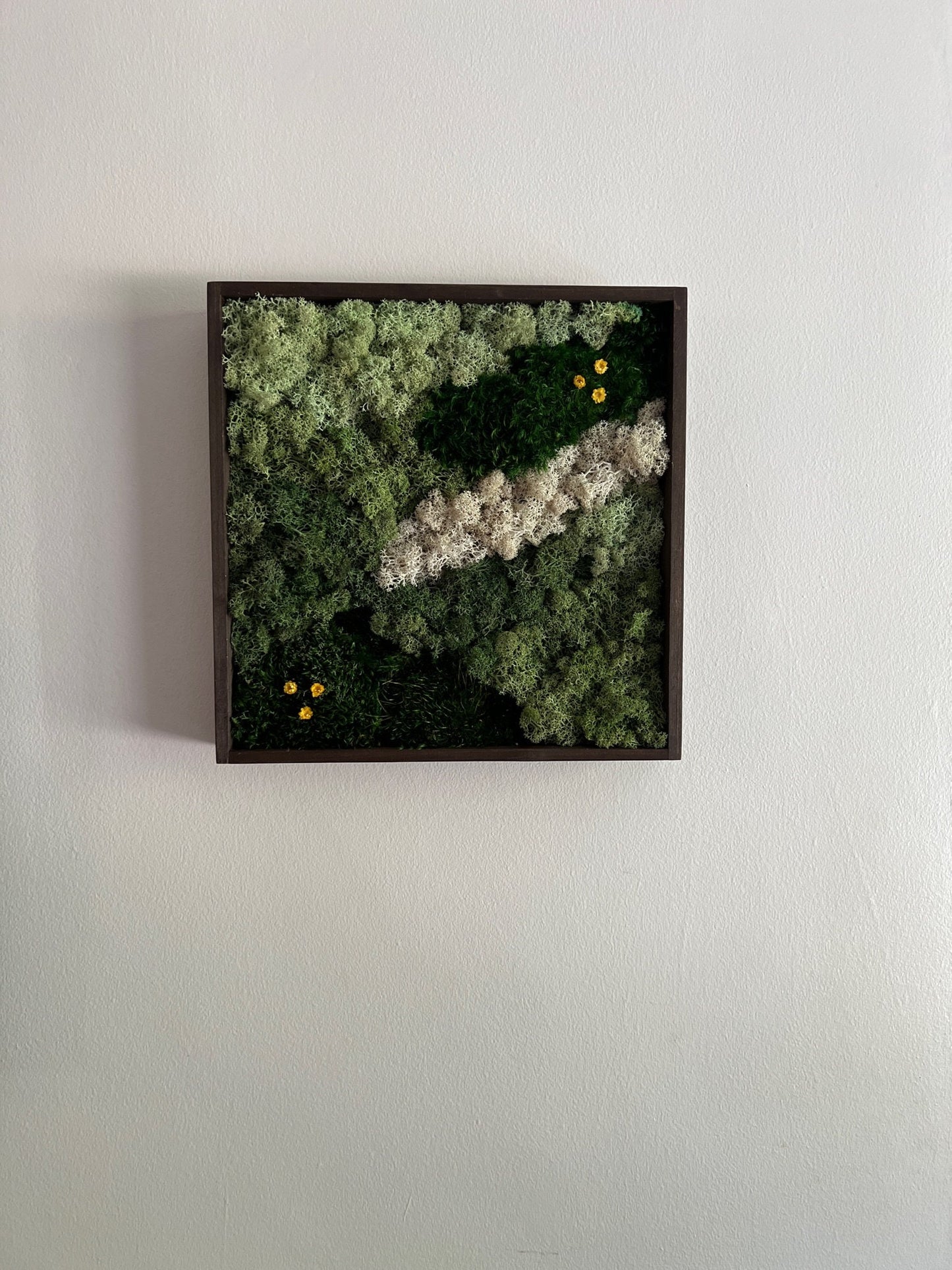 Moss Wall Art | Preserved Moss Framed | Moss Wall Decor | Square Frame | Mood Moss with Preserved Flowers, Reindeer Moss