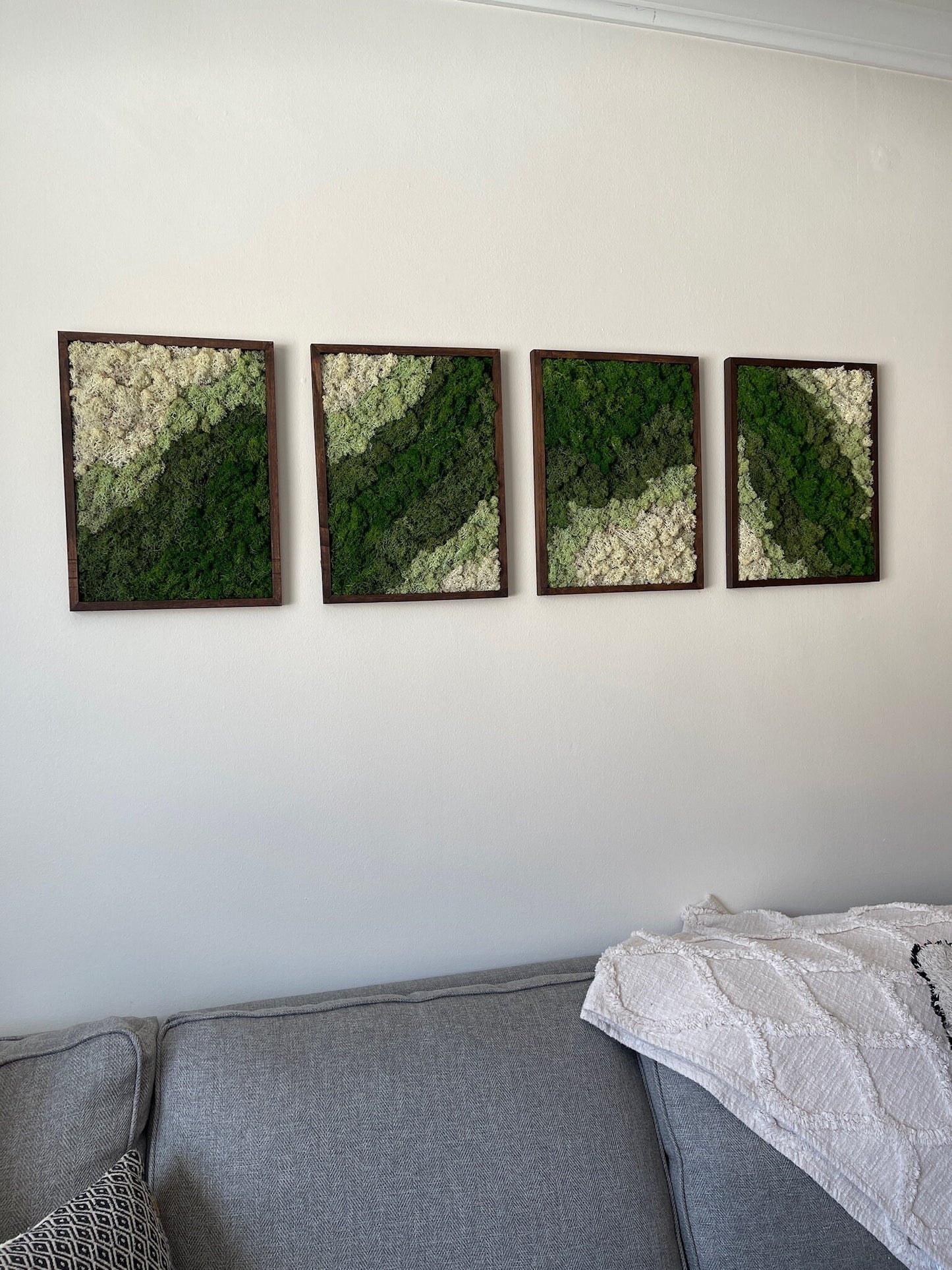 Moss Wall Art | Reindeer Moss Wall Decor | Moss Wall Art | Set of 1 - 4 | Rectangle Wood Frame | Canopy and Dark Green, Mint and White