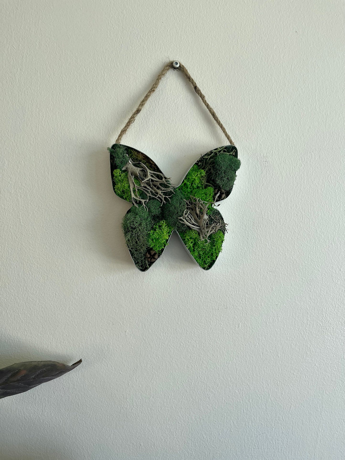 Butterfly Moss | Preserved Moss Wall Art | Home Decor | Metal Butterfly | Green and Beige Reindeer Moss
