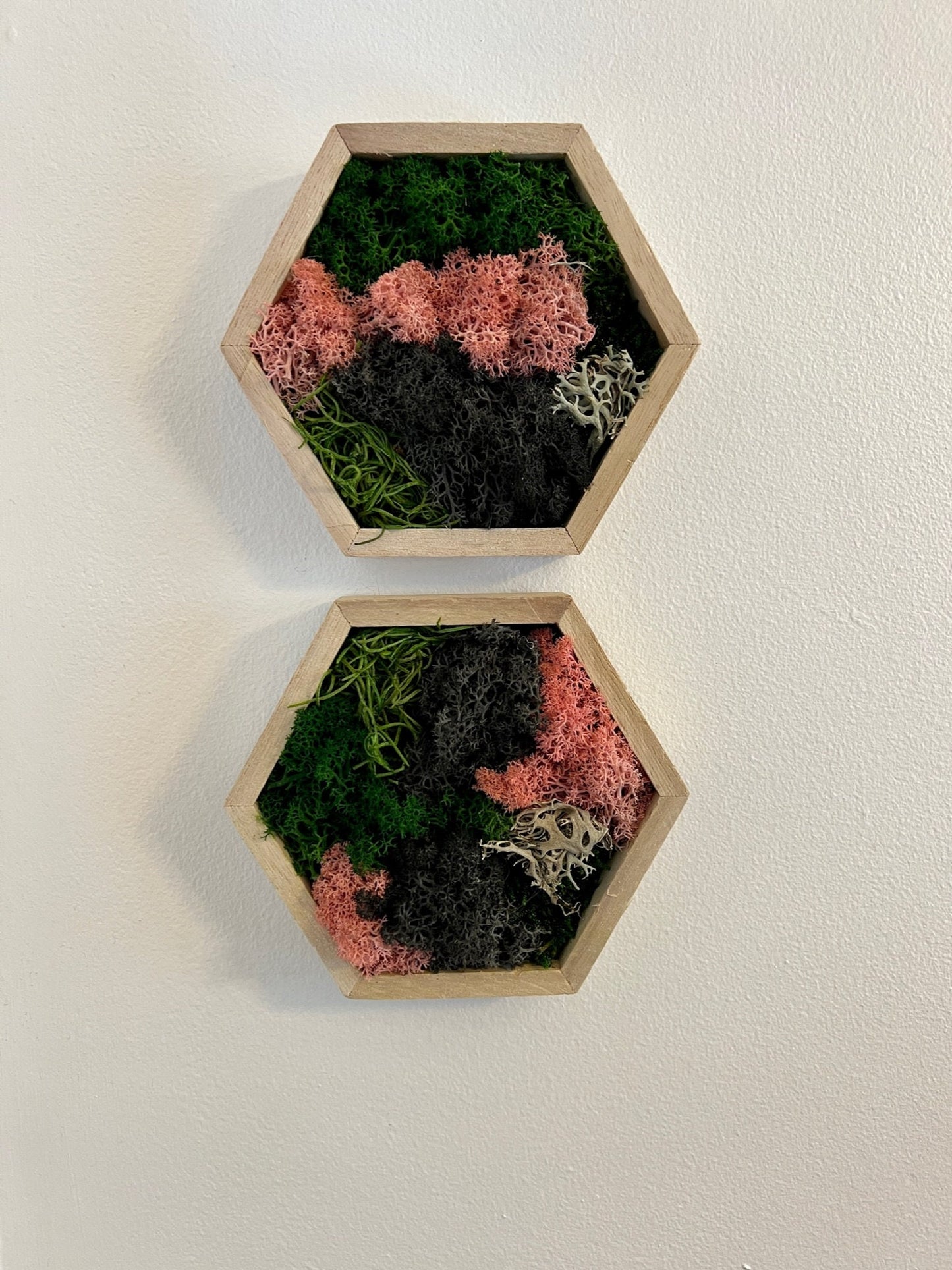 Moss Wall Art | Honeycomb Moss | Home Decor | Wood Hexagon | Pink Green and Black