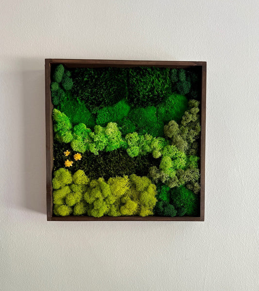 Preserved Moss Wall Art: Square Wood Frame, Reindeer Moss Decor | USA - TARIFF FREE