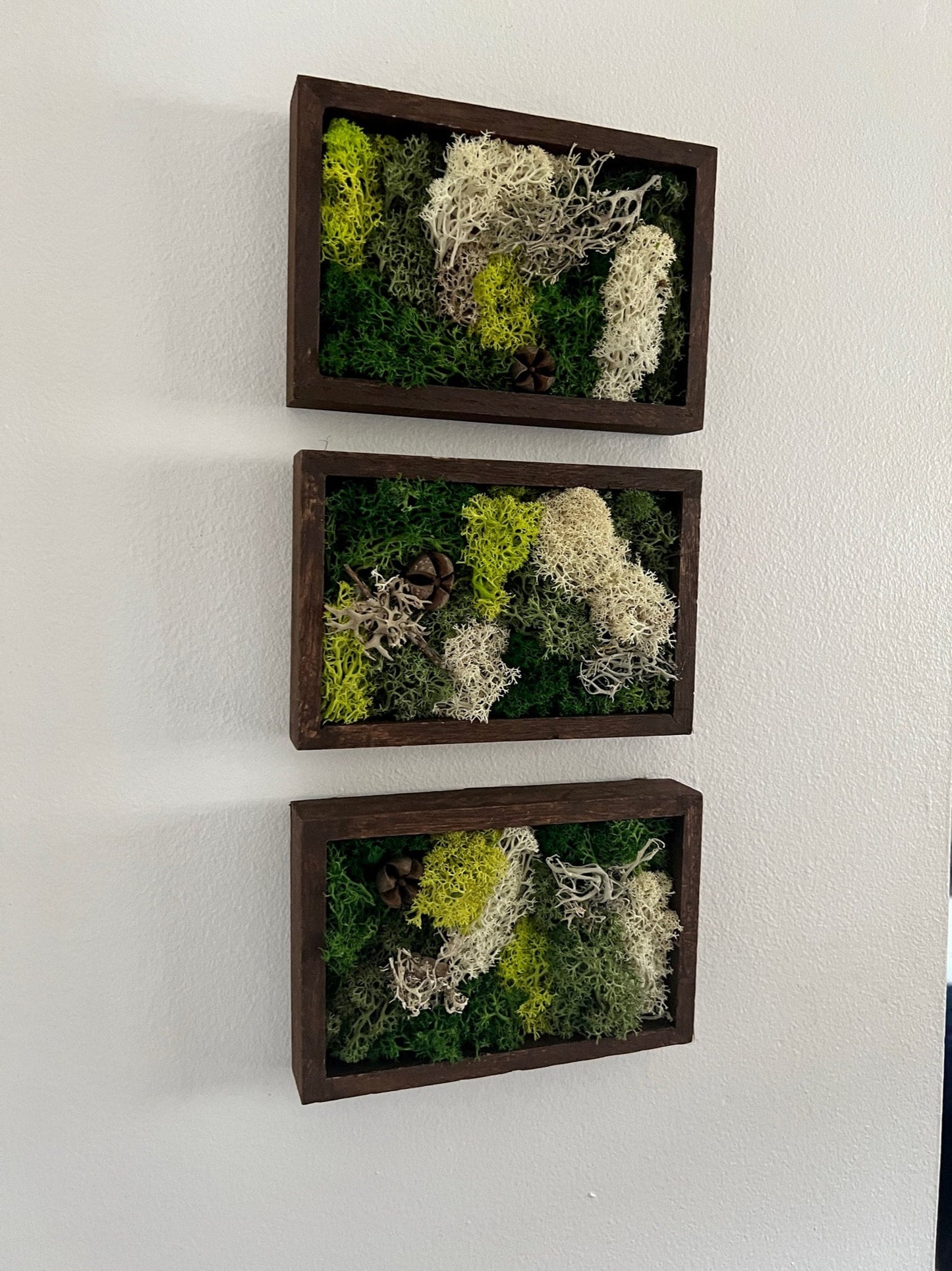 Moss Wall Art | Preserved Moss Art Framed | Rectangle | Green and Beige