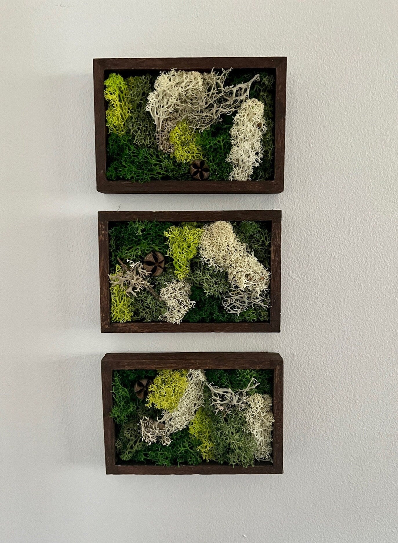 Moss Wall Art | Preserved Moss Art Framed | Rectangle | Green and Beige