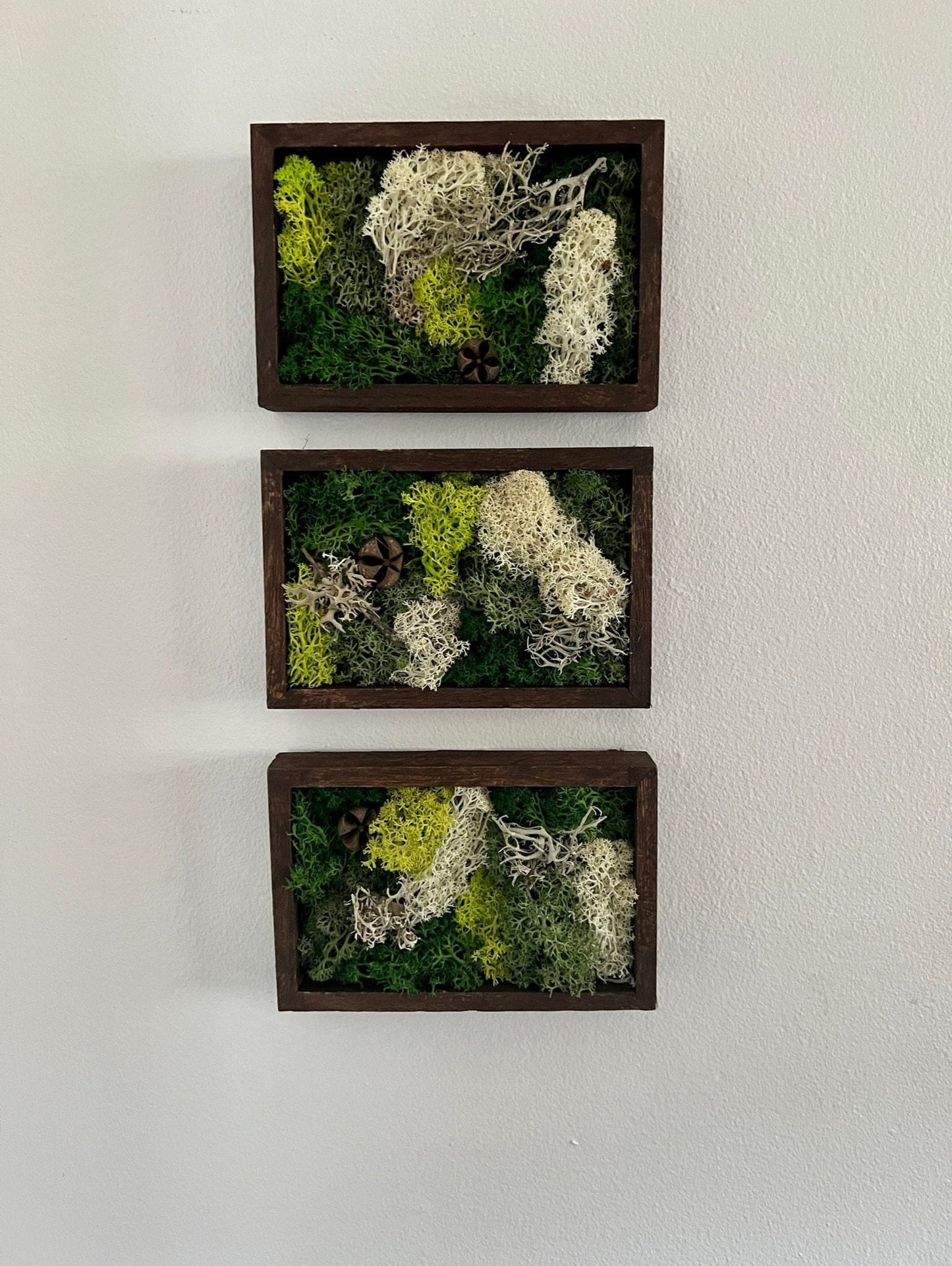 Moss Wall Art | Preserved Moss Art Framed | Rectangle | Green and Beige