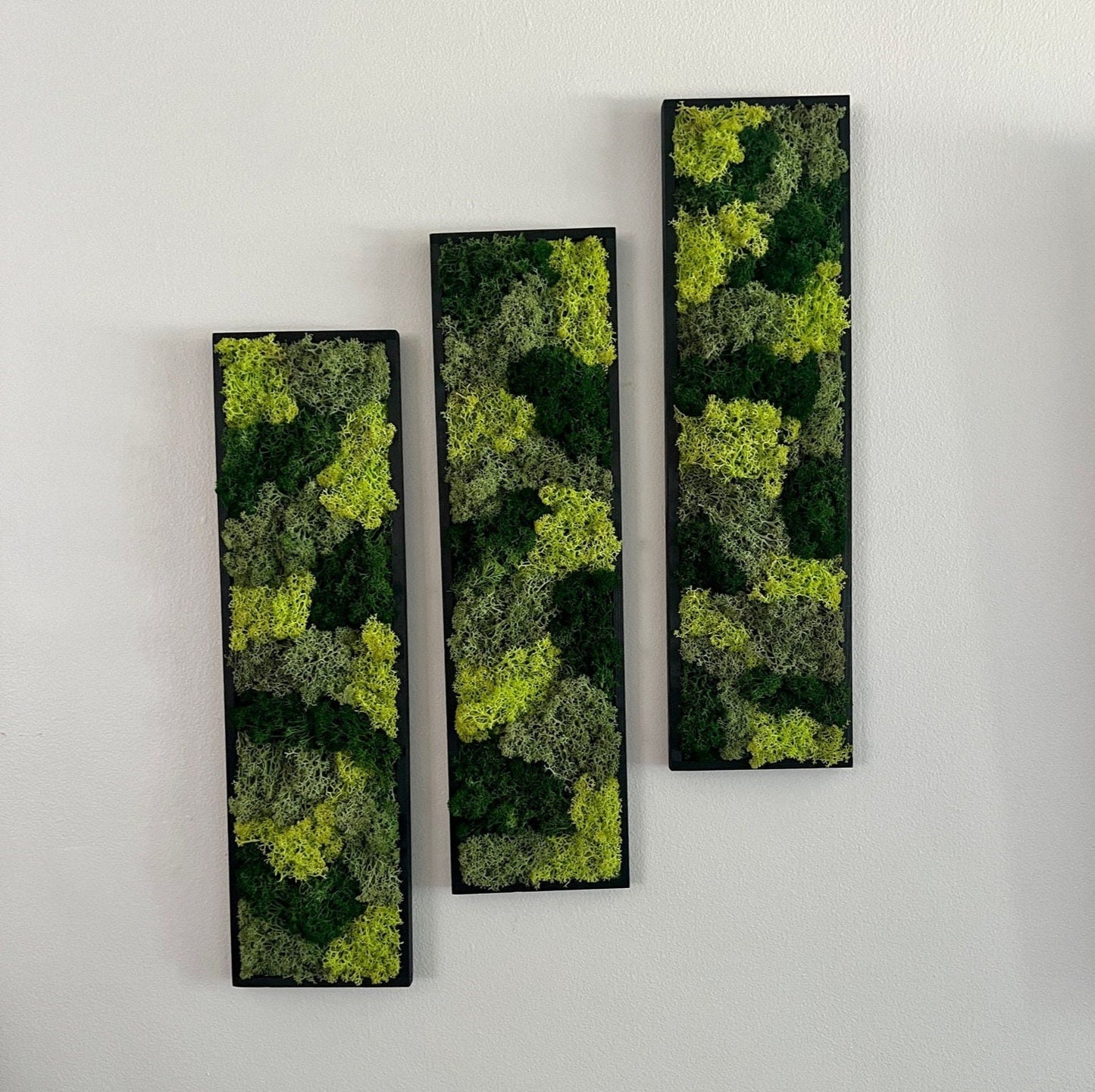 Moss Wall Art | Moss Wall Decor | Preserved Moss Art Framed | Moss Wall Sets | Rectangle Single - Set of Six | Green Reindeer Moss | Decor