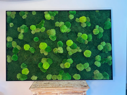 Preserved Reindeer Moss Wall Art: Framed Natural Home Decor | USA - TARIFF FREE