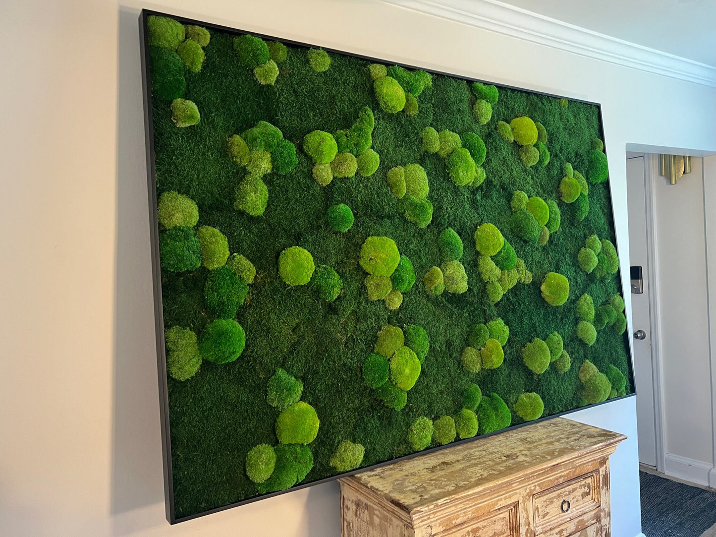 Moss Wall Art | Preserved Moss Framed | Large Moss Wall Decor | Pole and Sheet Moss | Only Available for delivery - TORONTO AND GTA
