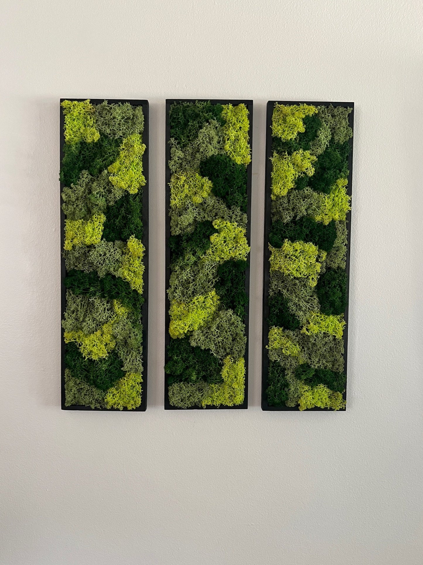 Moss Wall Art | Moss Wall Decor | Preserved Moss Art Framed | Moss Wall Sets | Rectangle Single - Set of Six | Green Reindeer Moss | Decor
