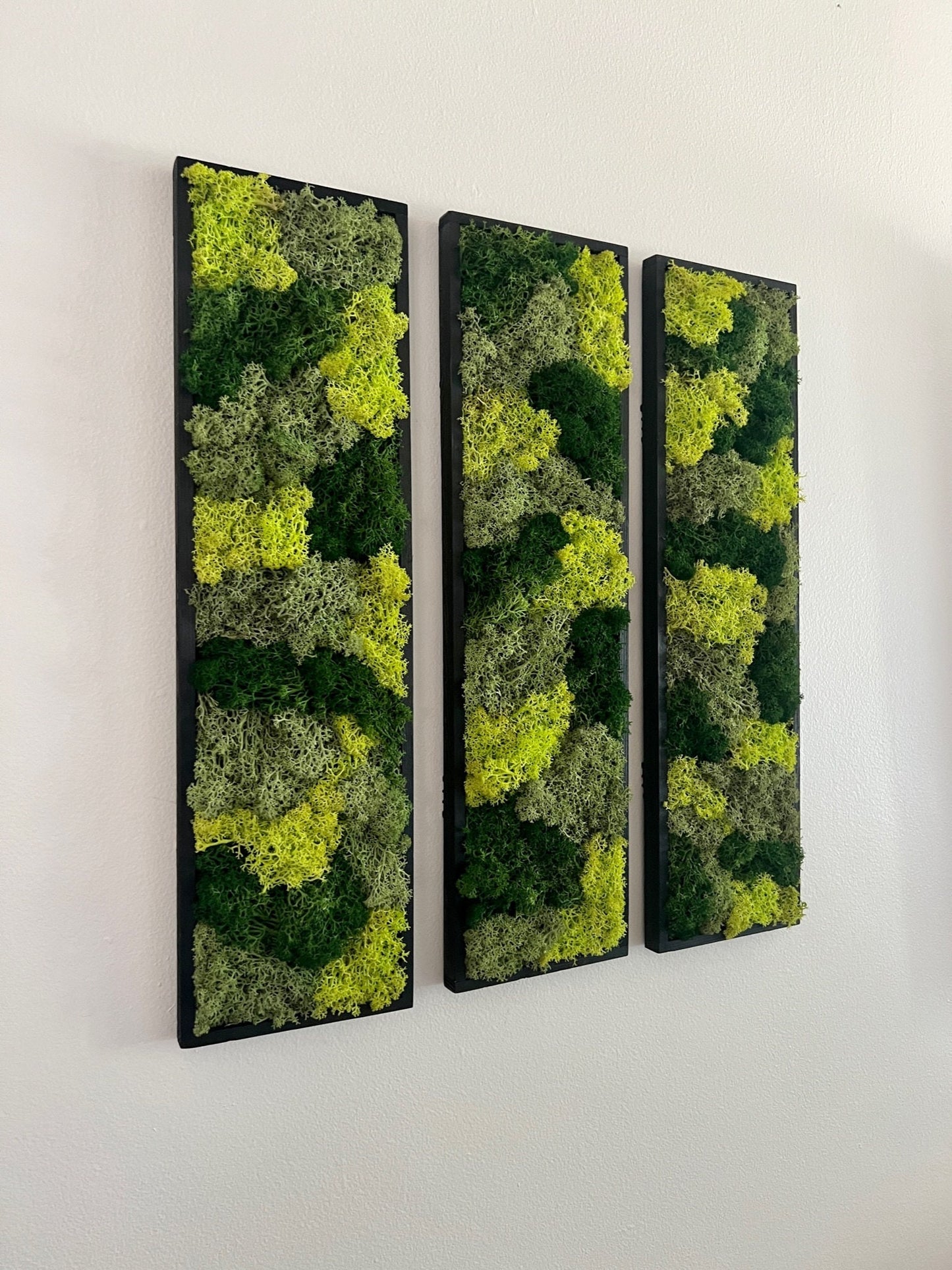 Moss Wall Art | Moss Wall Decor | Preserved Moss Art Framed | Moss Wall Sets | Rectangle Single - Set of Six | Green Reindeer Moss | Decor