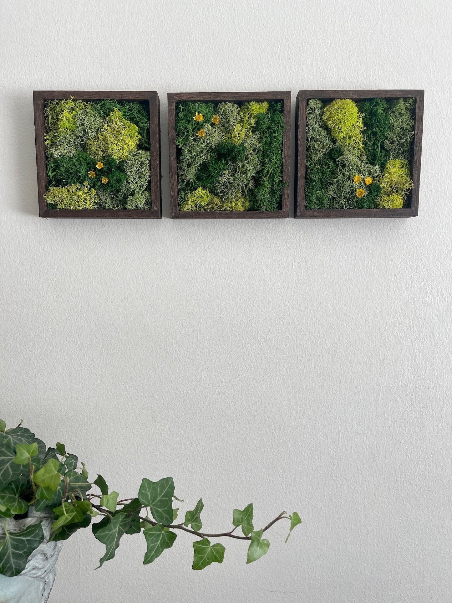 Preserved Reindeer Moss Wall Art: Wood Frame, Green Decor | USA - TARIFF FREE