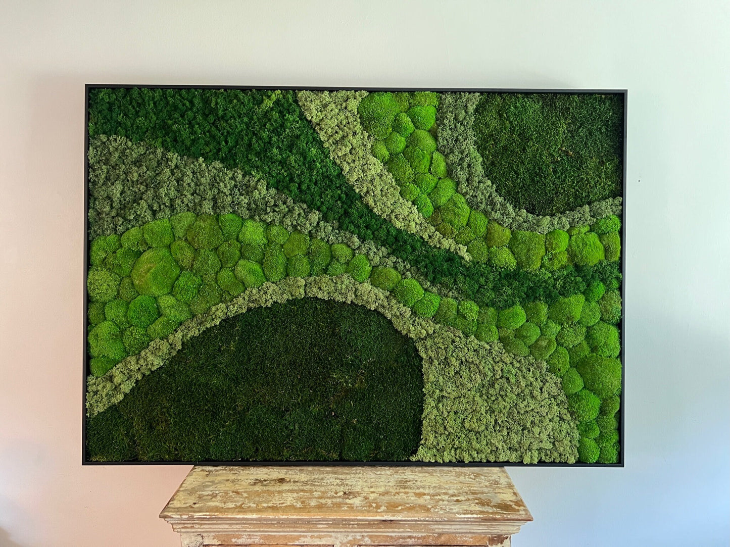 Moss Wall Art | Preserved Moss Framed | Large Moss Wall Decor | Pole, Sheet & Reindeer Moss | Only Available for delivery - TORONTO AND GTA