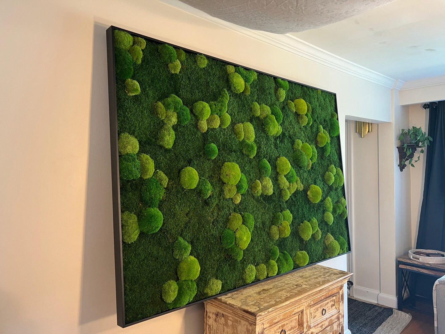 Moss Wall Art | Preserved Moss Framed | Large Moss Wall Decor | Pole and Sheet Moss | Only Available for delivery - TORONTO AND GTA