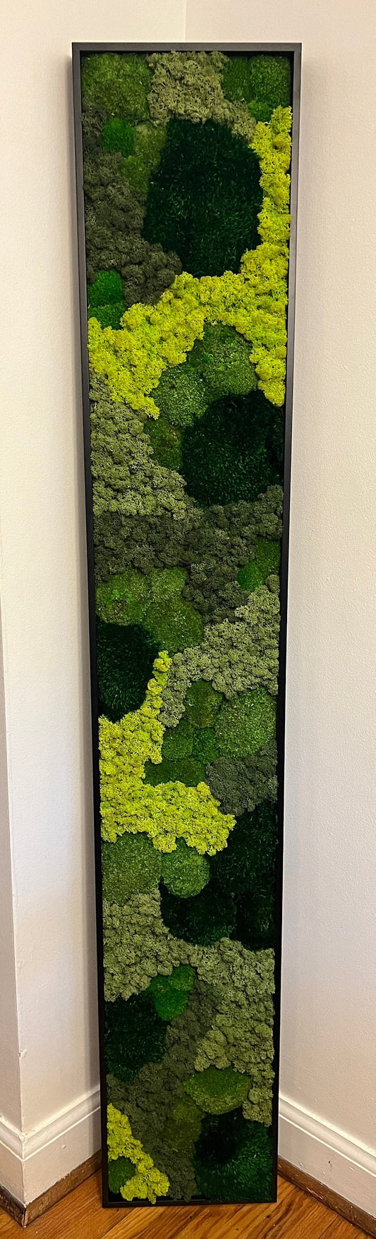 Framed Reindeer Moss Wall Art: Preserved Greenery Decor | USA - TARIFF FREE