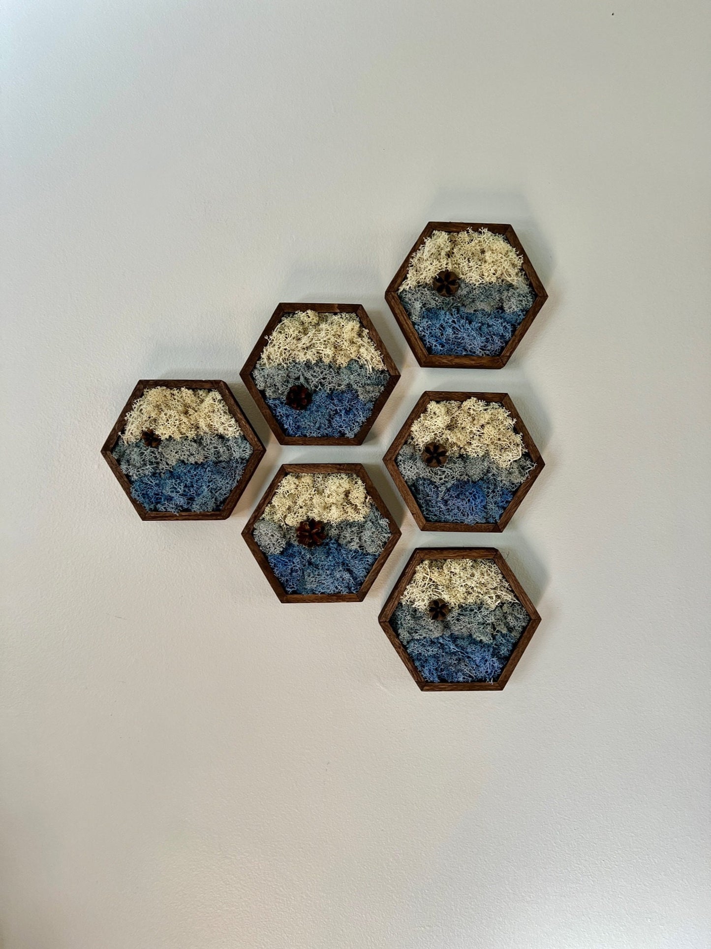 Moss Wall Art | Preserved Reindeer Moss | Wall Decor | Home Decor | Wood Hexagon | Natural Wall Hanging | Water Ice Snow | Christmas Gift