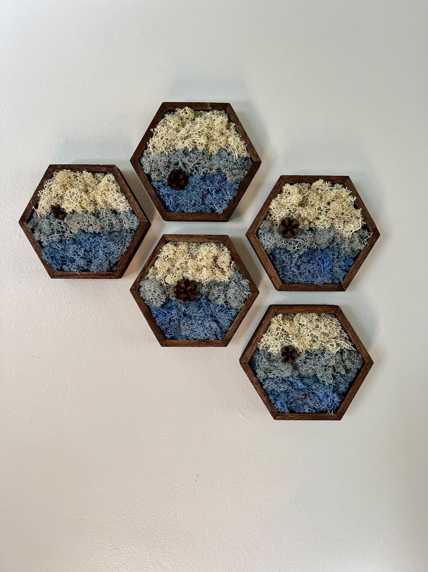 Preserved Reindeer Moss Wall Art: Wood Hexagon Trio | USA - TARIFF FREE