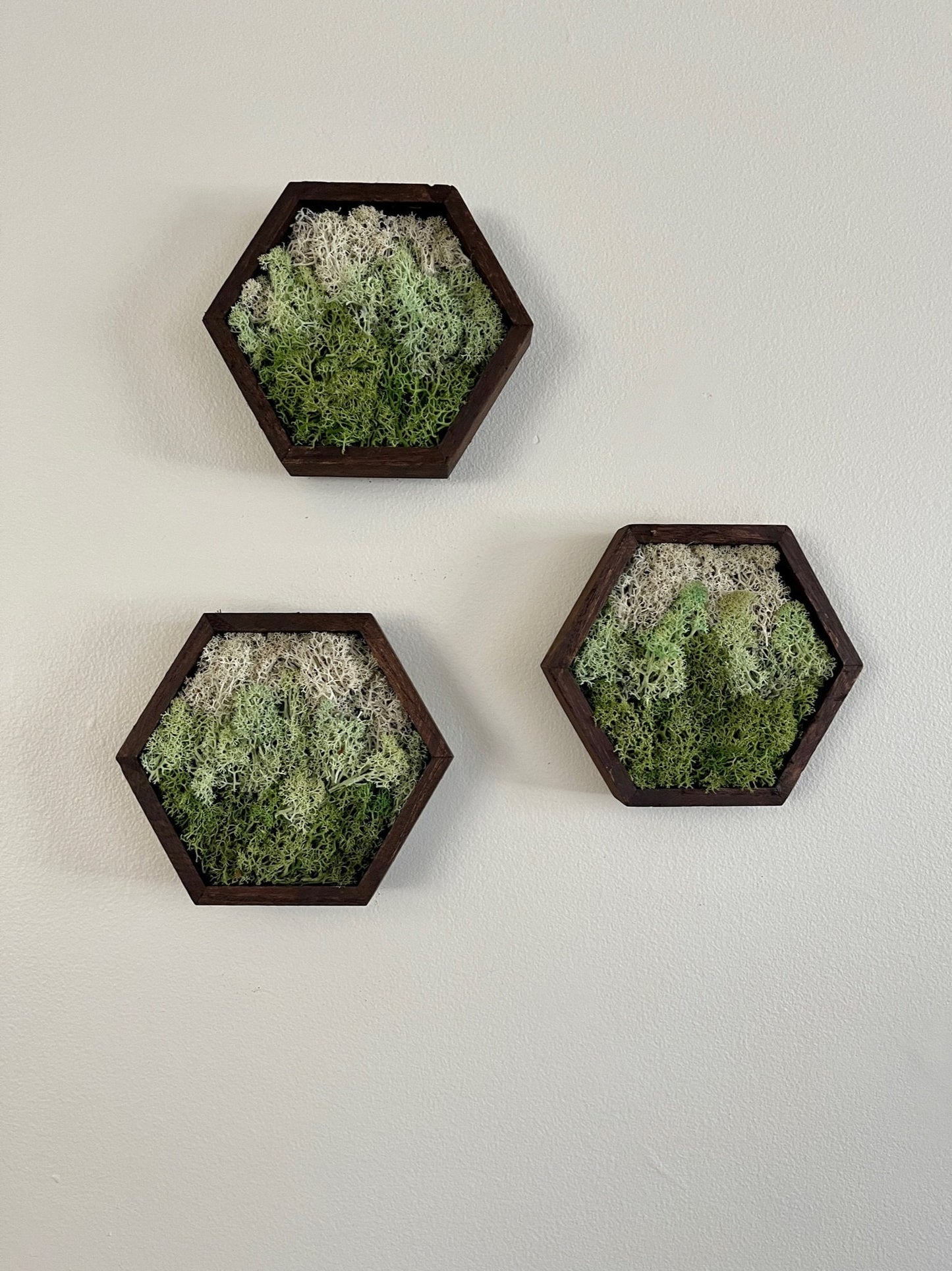 Moss Wall Art | Honeycomb Moss Single to Set of Twelve | Wood Hexagon | Green Mountains and Clouds | Nature Wall Art