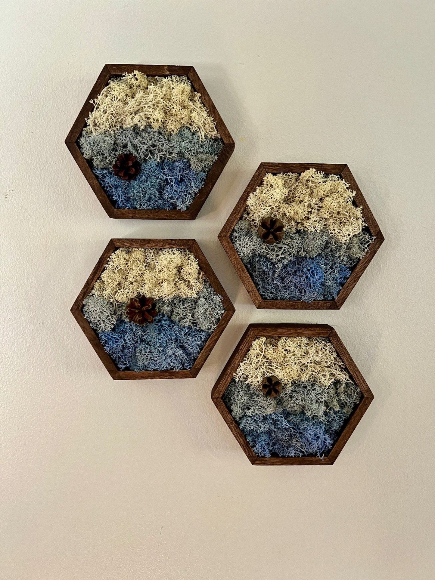Moss Wall Art | Preserved Reindeer Moss | Wall Decor | Home Decor | Wood Hexagon | Natural Wall Hanging | Water Ice Snow | Christmas Gift