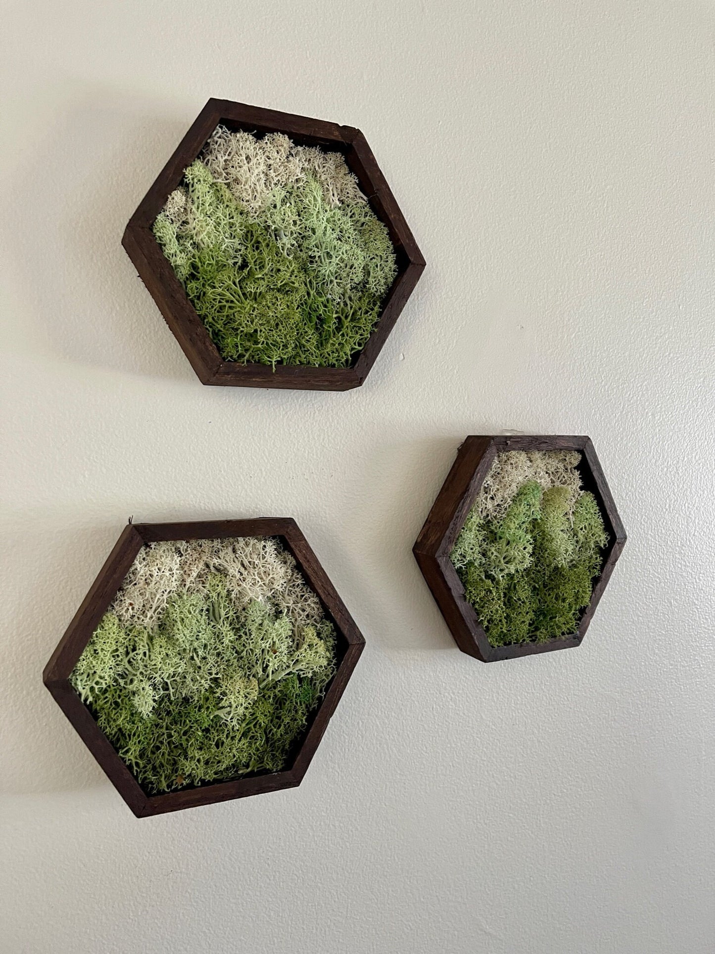 Moss Wall Art | Honeycomb Moss Single to Set of Twelve | Wood Hexagon | Green Mountains and Clouds | Nature Wall Art