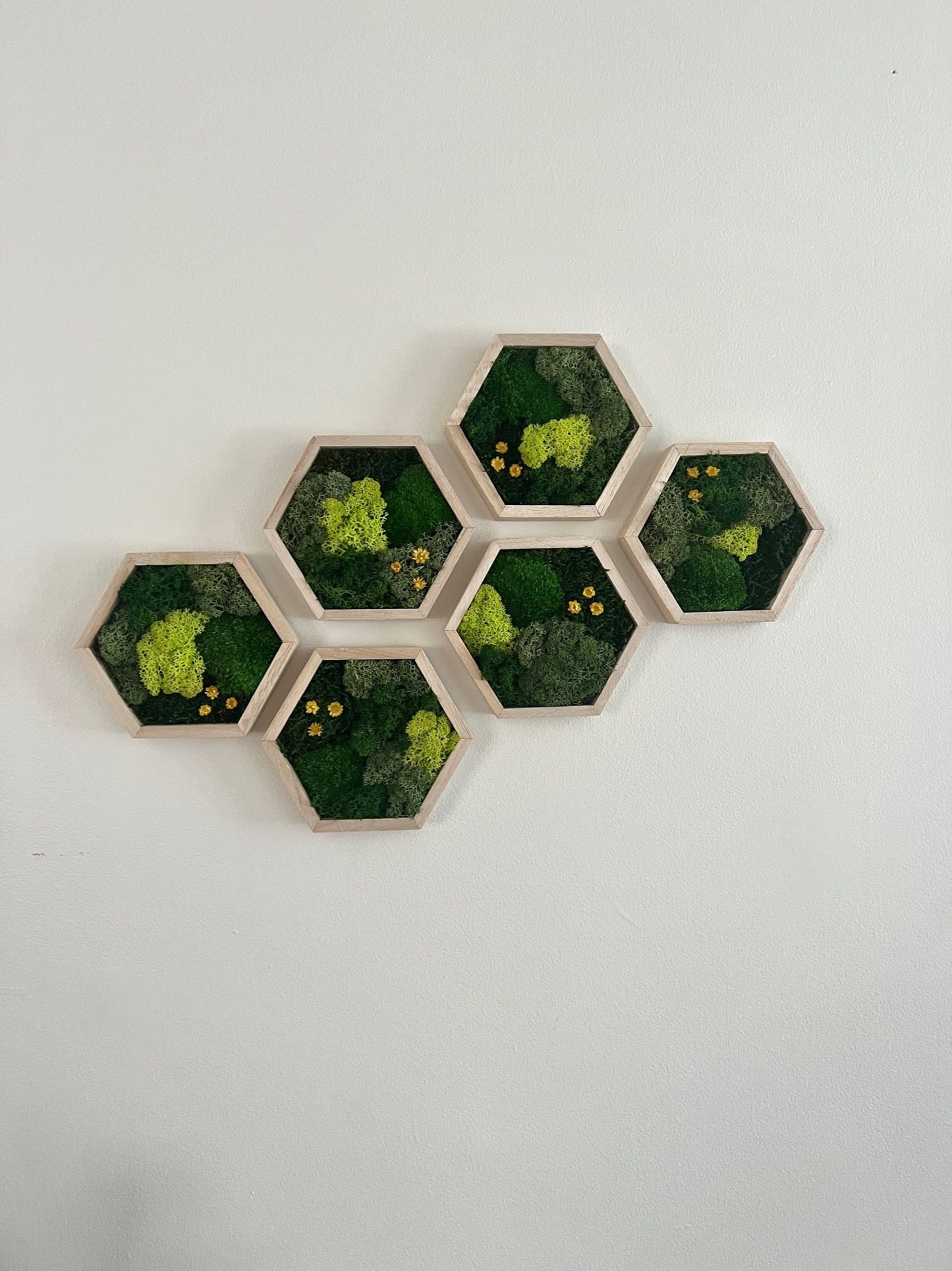 Honeycomb Moss Wall Art: Wood Hexagon with Preserved Flowers | USA - TARIFF FREE