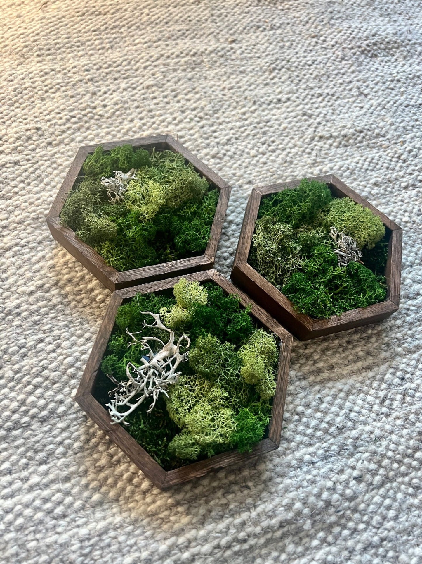 Moss Wall Art | Honeycomb Moss Single to Set of Twelve | Wood Hexagon | Green Reindeer and Sheet Moss | Moss Wall Art | Gift