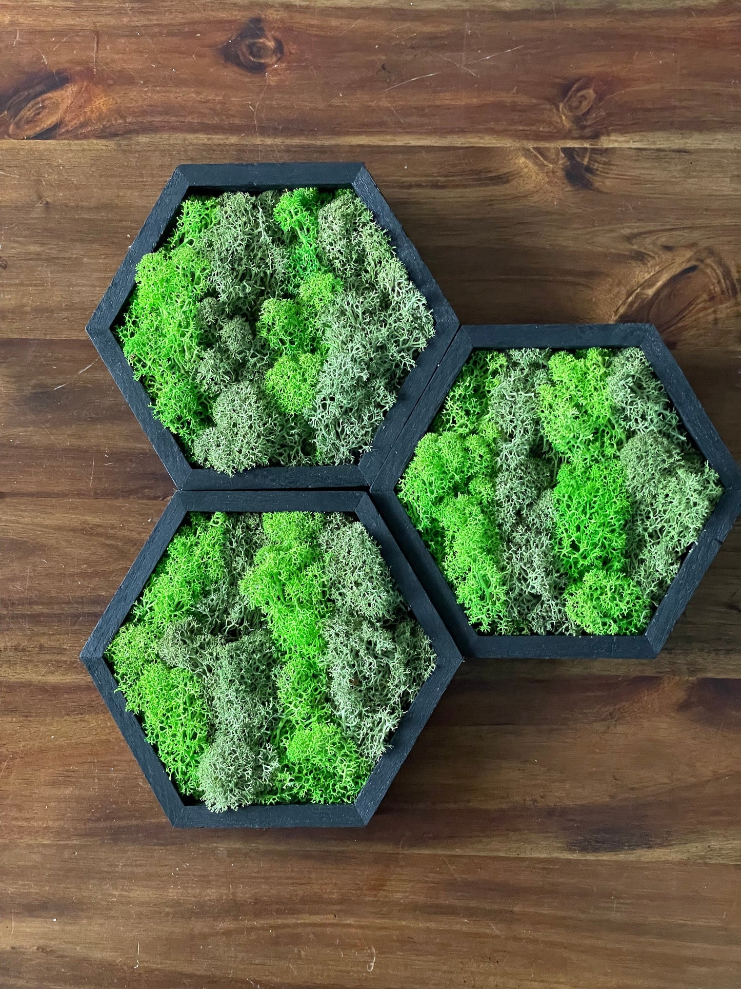 Moss Wall Art | Honeycomb Moss Single to Set of Twelve | Wood Hexagon | Green Preserved Reindeer Moss |