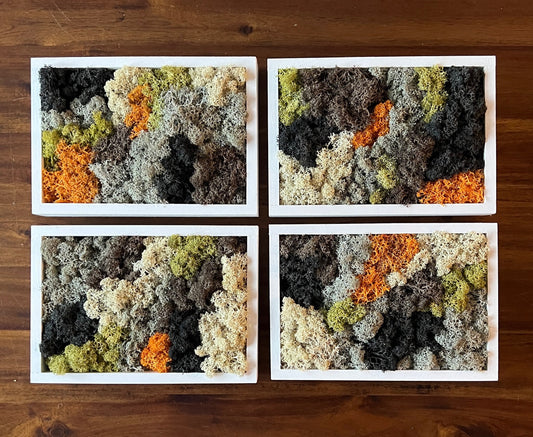 Preserved Reindeer Moss Wall Art: Rectangle Frame, Natural Home Decor | USA - TARIFF FREE