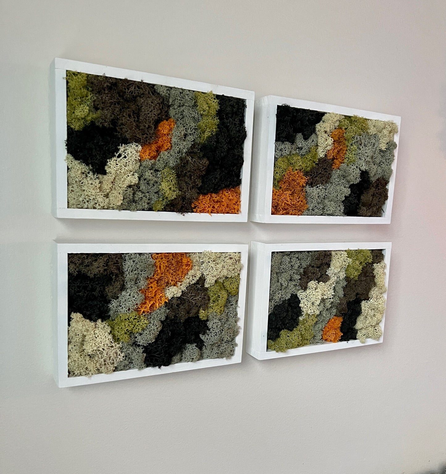 Preserved Reindeer Moss Wall Art: Rectangle Frame, Natural Home Decor | USA - TARIFF FREE