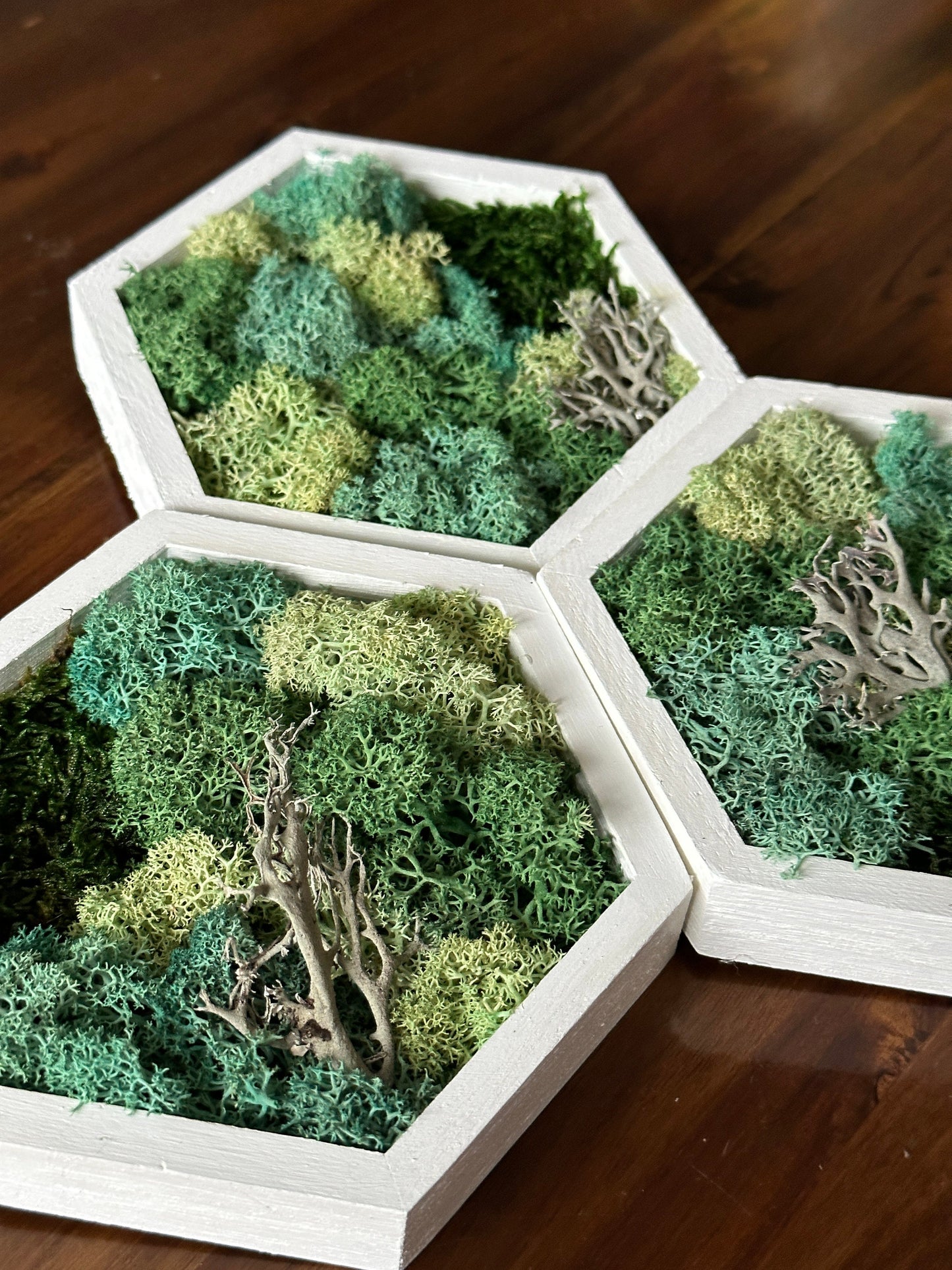 Honeycomb Reindeer Moss Wall Art: Wood Hexagon Decor | USA - TARIFF FREE
