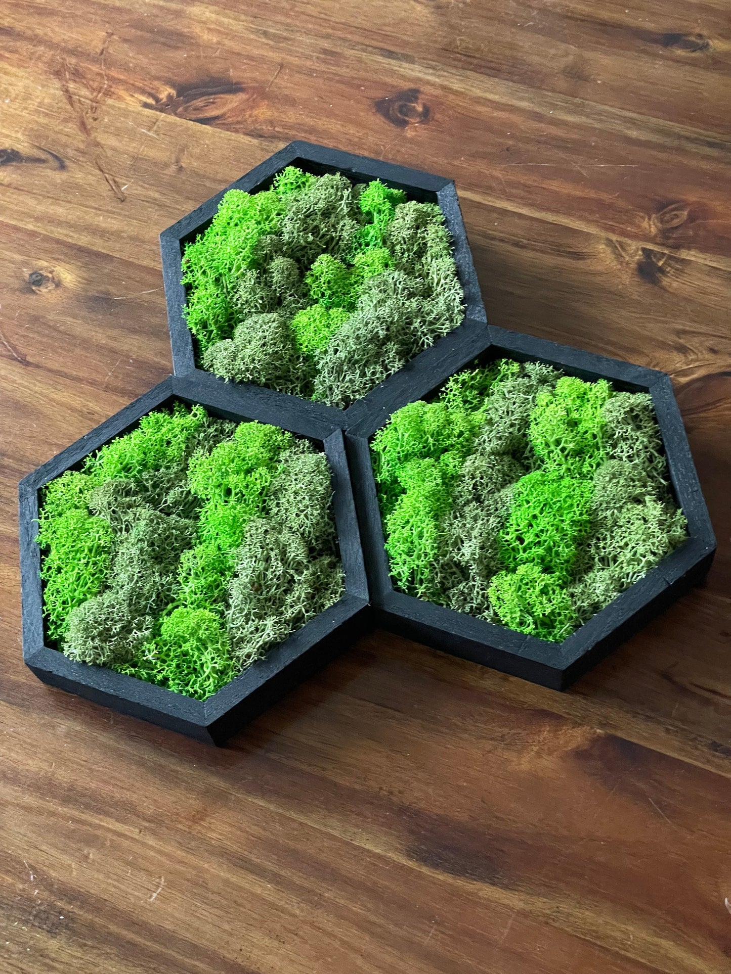 Moss Wall Art | Honeycomb Moss Single to Set of Twelve | Wood Hexagon | Green Preserved Reindeer Moss |