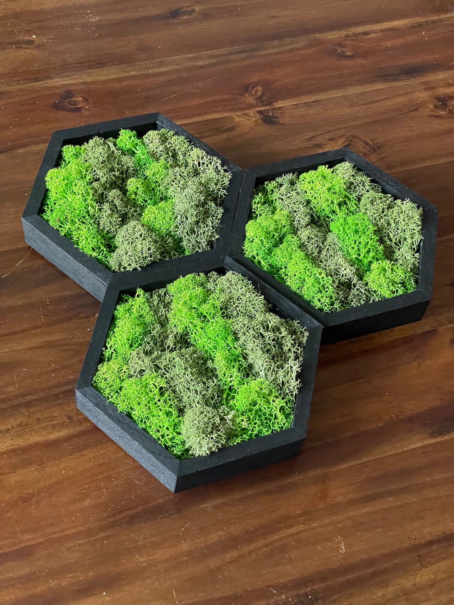 Moss Wall Art | Honeycomb Moss Single to Set of Twelve | Wood Hexagon | Green Preserved Reindeer Moss |