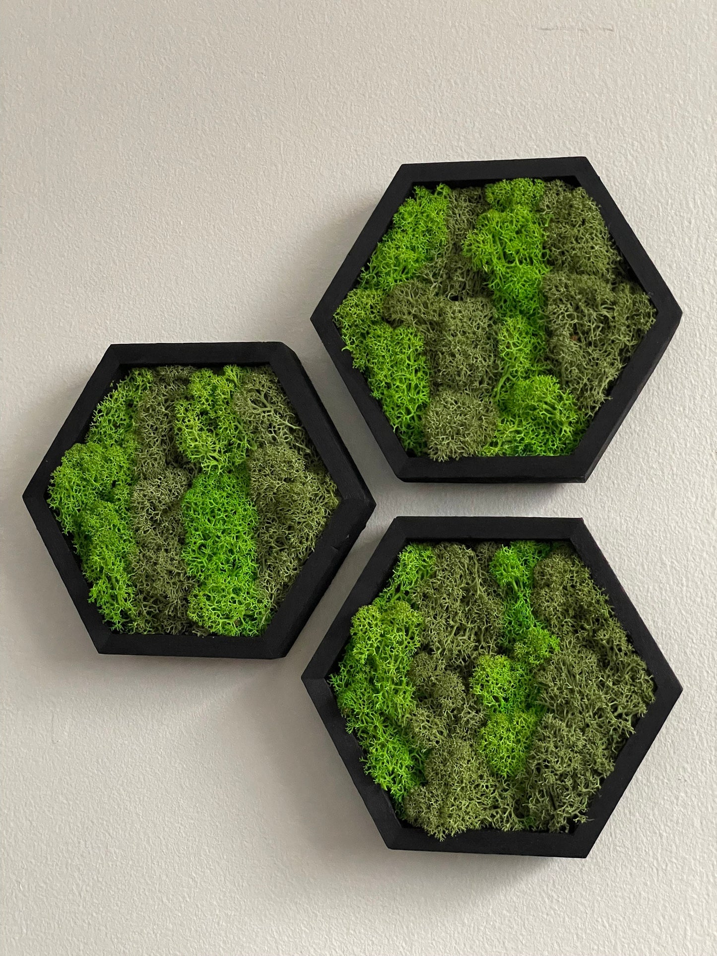 Moss Wall Art | Honeycomb Moss Single to Set of Twelve | Wood Hexagon | Green Preserved Reindeer Moss |