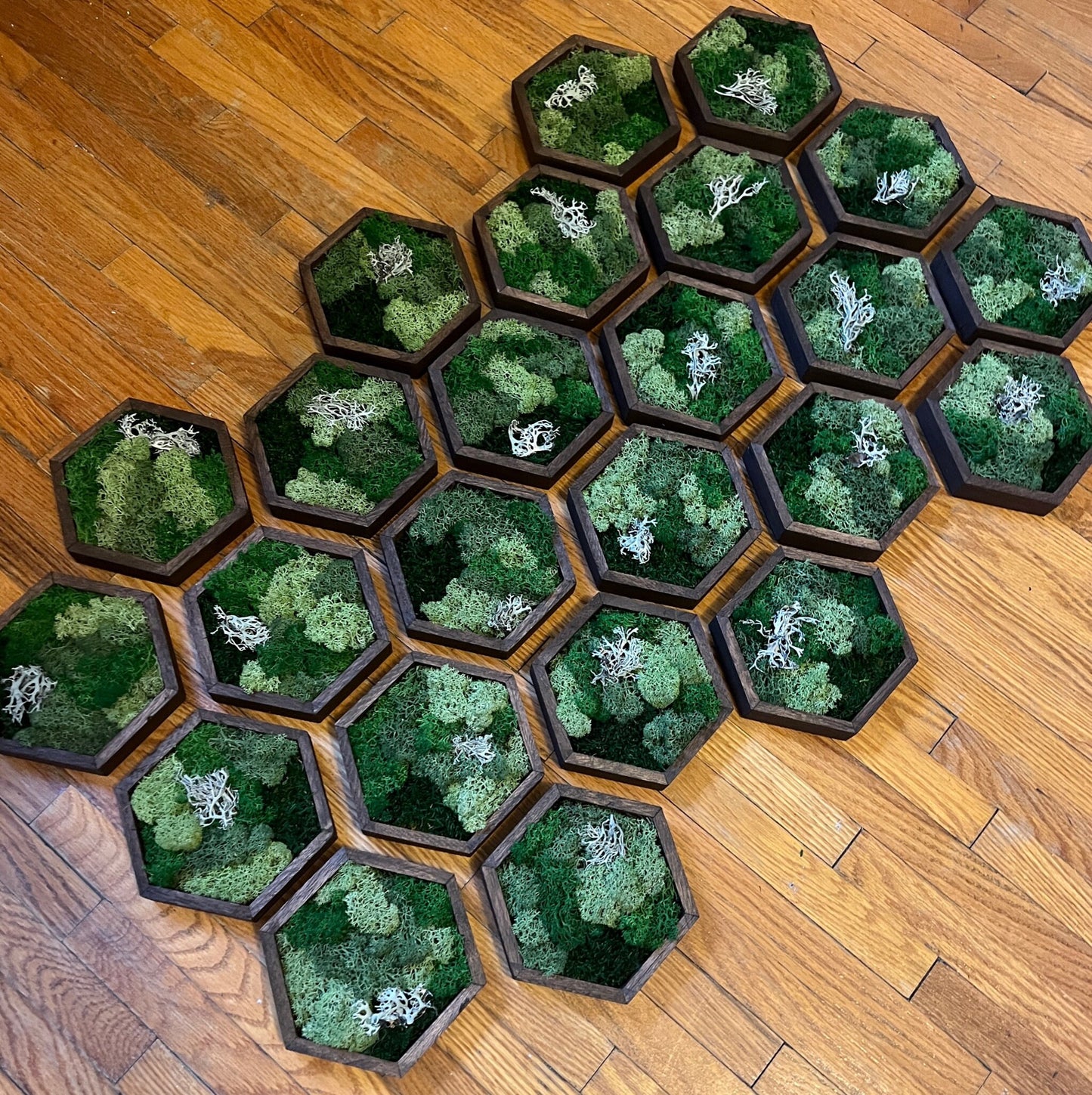 Moss Wall Art | Honeycomb Moss Single to Set of Twelve | Wood Hexagon | Green Reindeer and Sheet Moss | Moss Wall Art | Gift