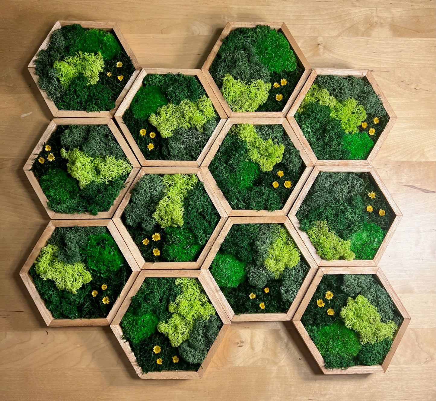Honeycomb Moss Wall Art: Wood Hexagon with Reindeer Moss & Yellow Flowers | USA - TARIFF FREE
