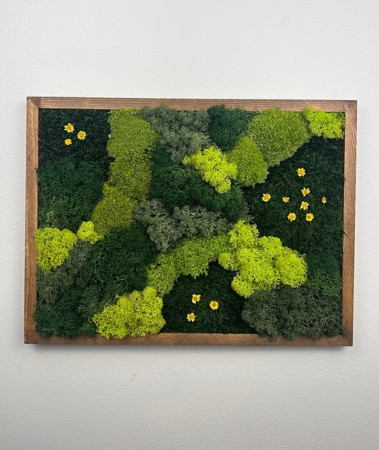 Preserved Moss Wall Art: Reindeer Moss in Wood Frame (12x16) | USA - TARIFF FREE