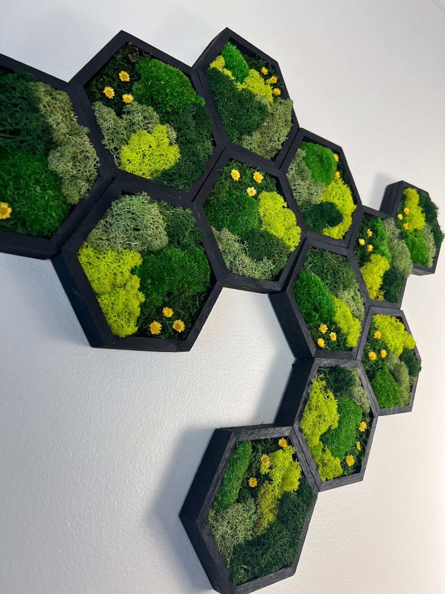 Moss Wall Art | Honeycomb Moss Single to Set of Twelve | Wood Hexagon | Green Reindeer Moss, Pole Moss with Yellow Preserved Flowers