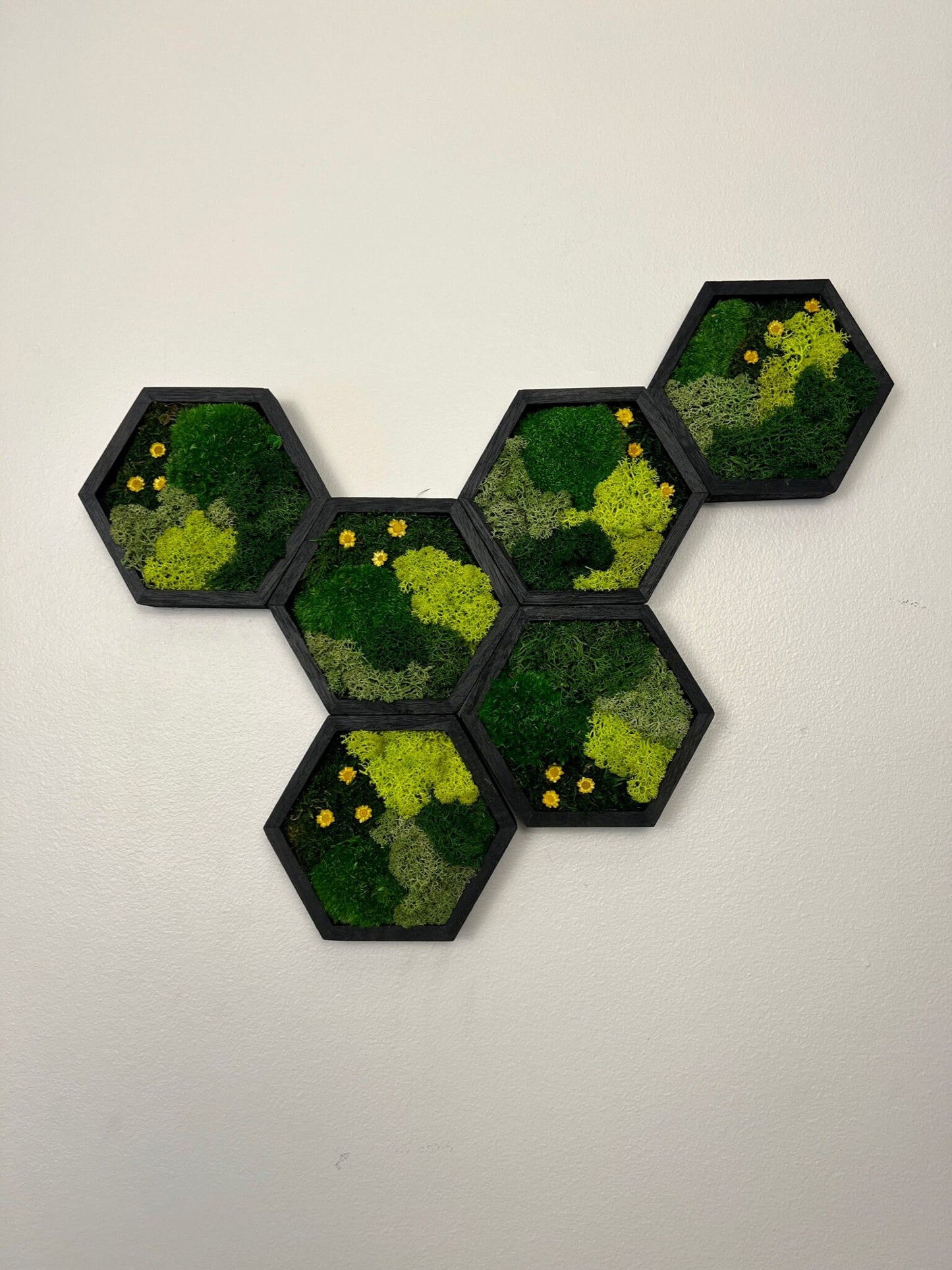 Moss Wall Art | Honeycomb Moss Single to Set of Twelve | Wood Hexagon | Green Reindeer Moss, Pole Moss with Yellow Preserved Flowers